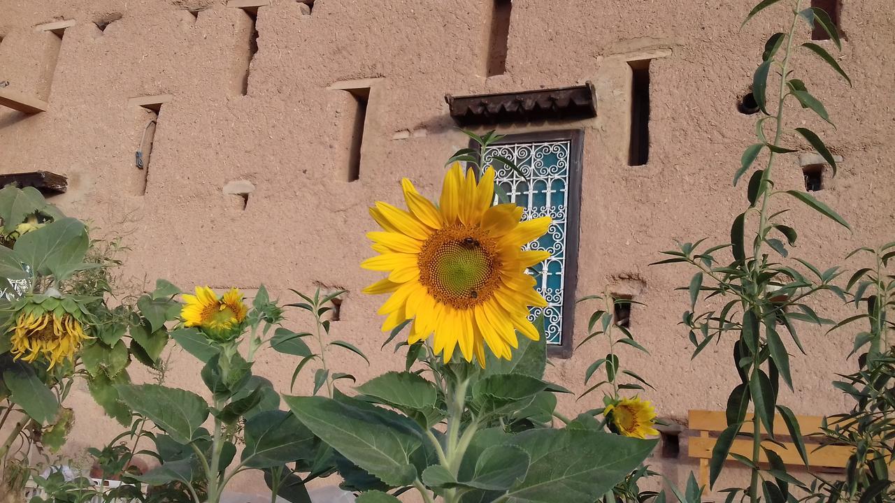 Kasbah Izoran Hotel Midelt Exterior foto
