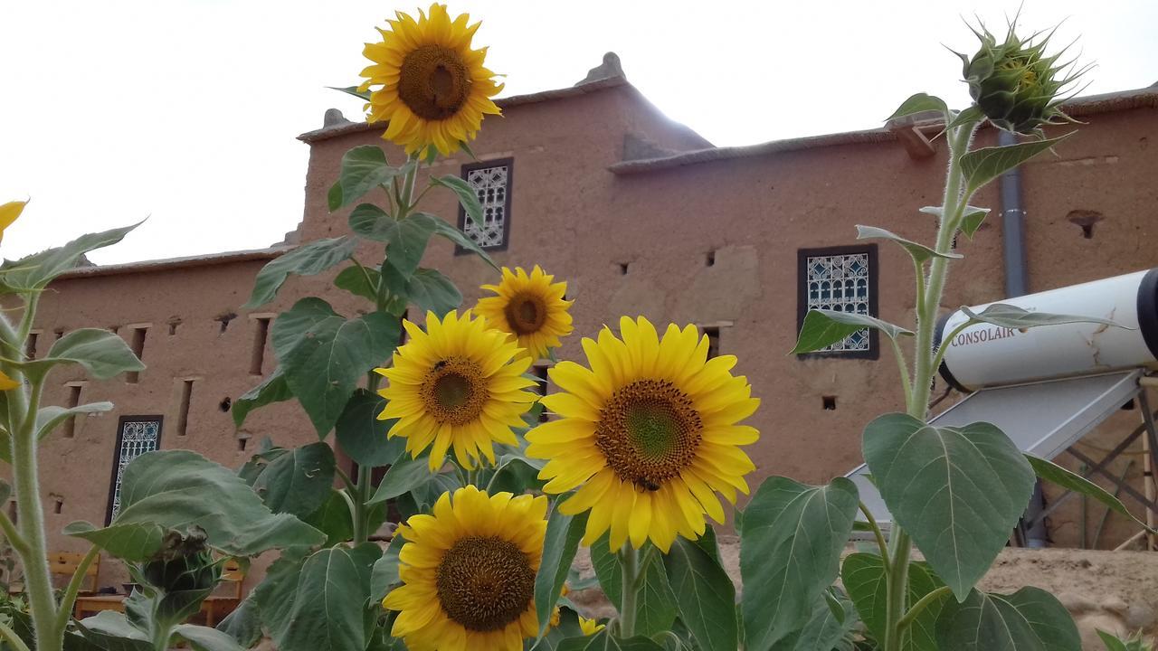 Kasbah Izoran Hotel Midelt Exterior foto